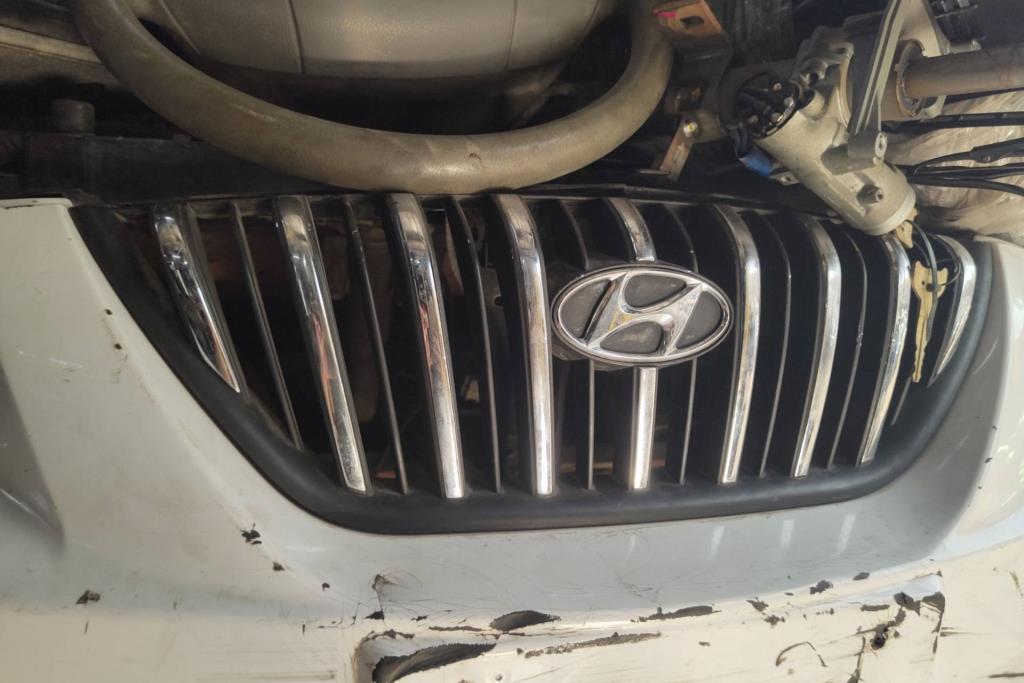 Body  Grilles Hyundai Avante