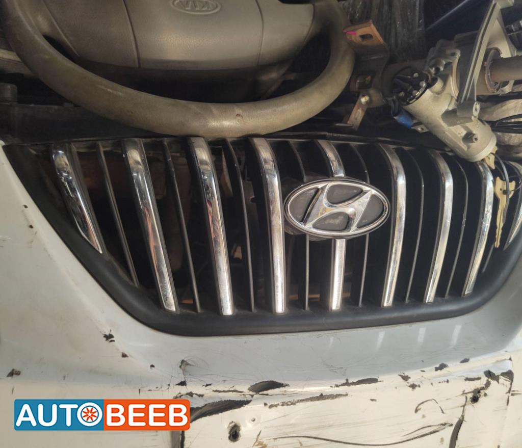 Body  Grilles Hyundai Avante