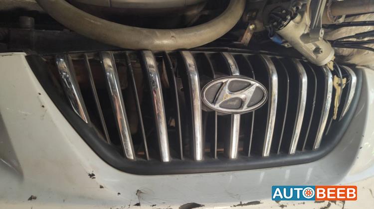 Body  Grilles Hyundai Avante