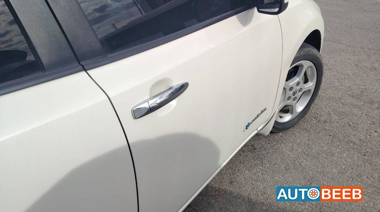 Nissan Leaf 2013