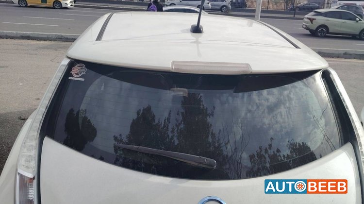 Nissan Leaf 2013
