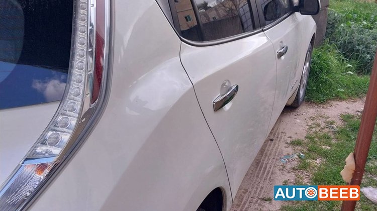 Nissan Leaf 2013