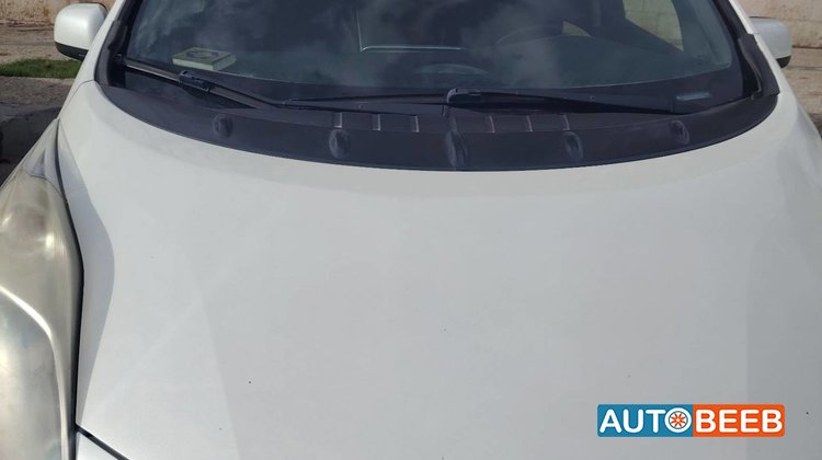 Nissan Leaf 2013