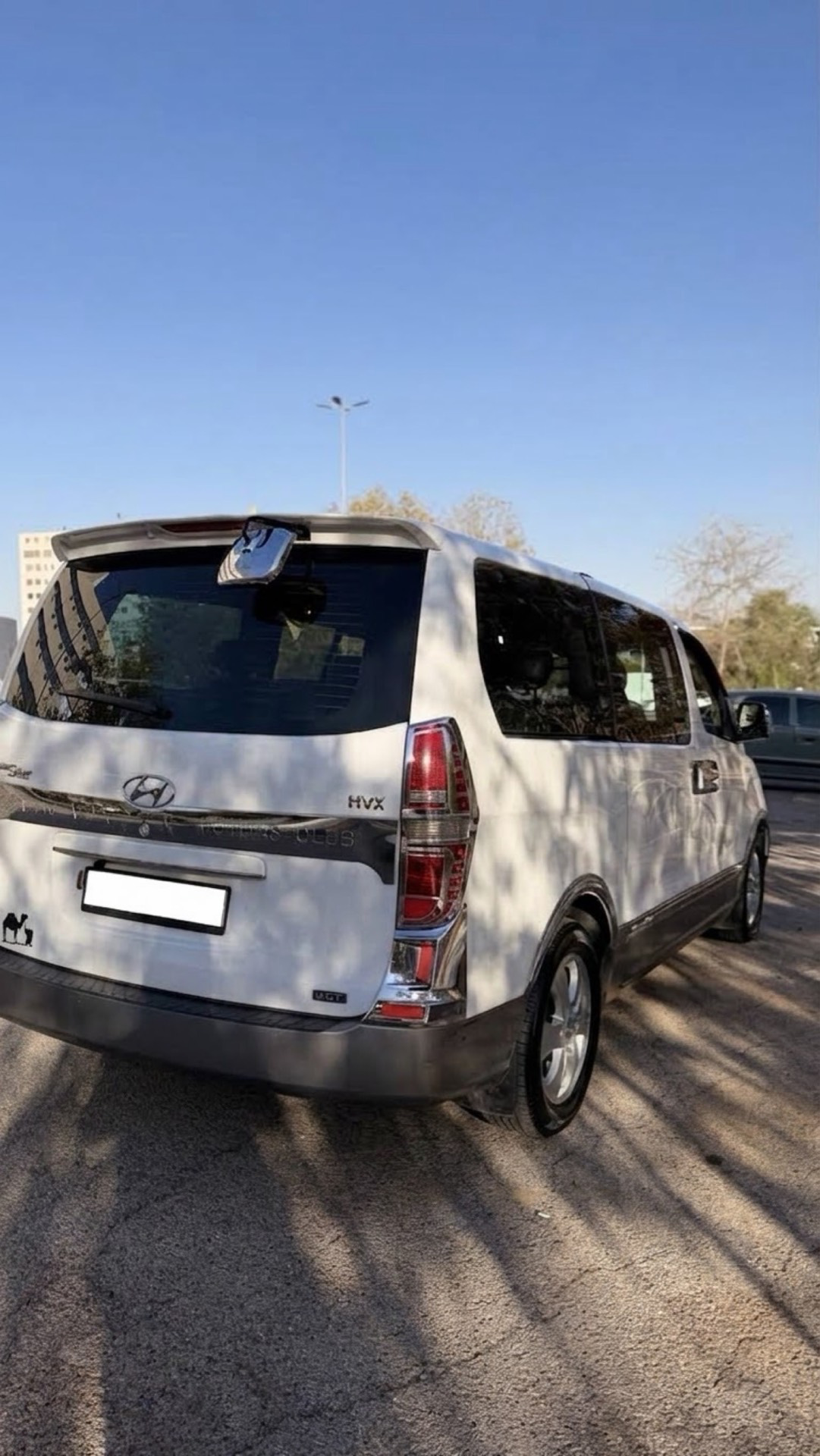Minibus Hyundai 2012