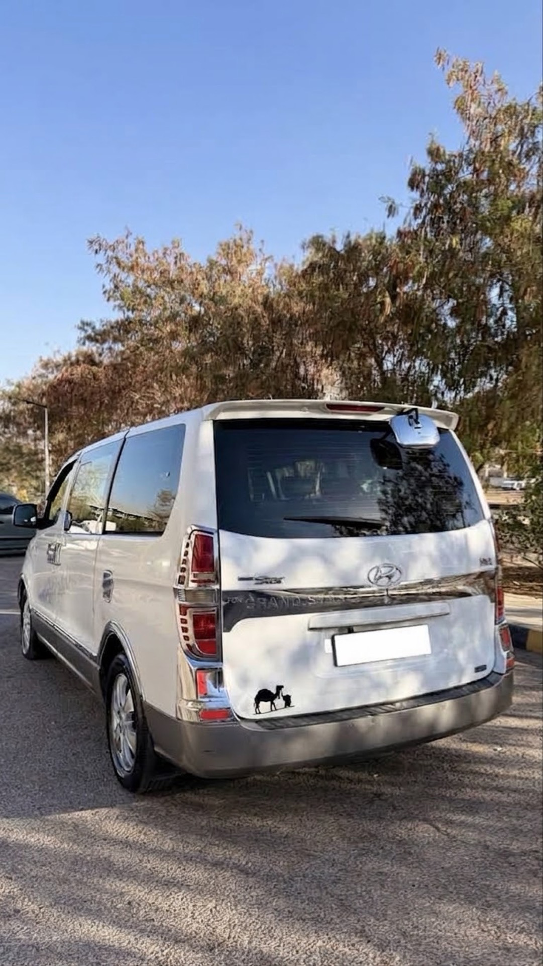 Minibus Hyundai 2012
