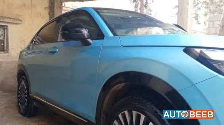 هوندا e:NS1 2022
