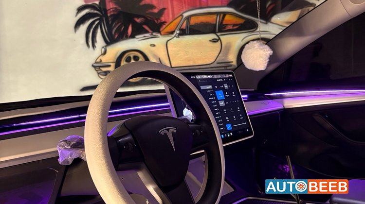 Tesla 3 2023