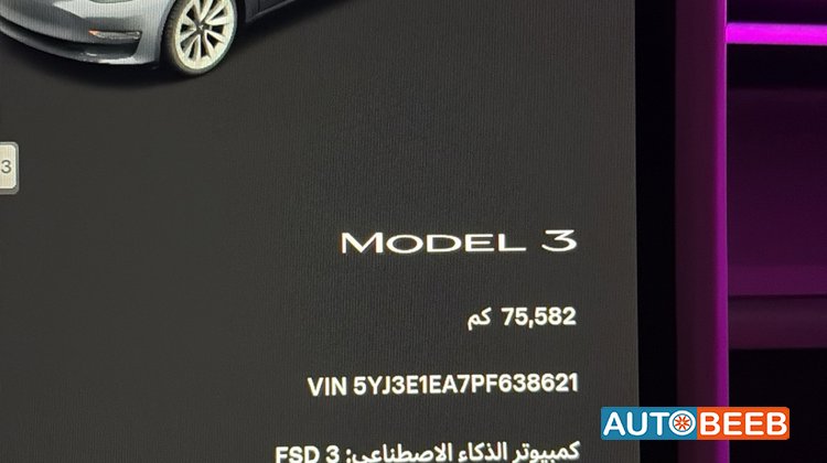 Tesla 3 2023