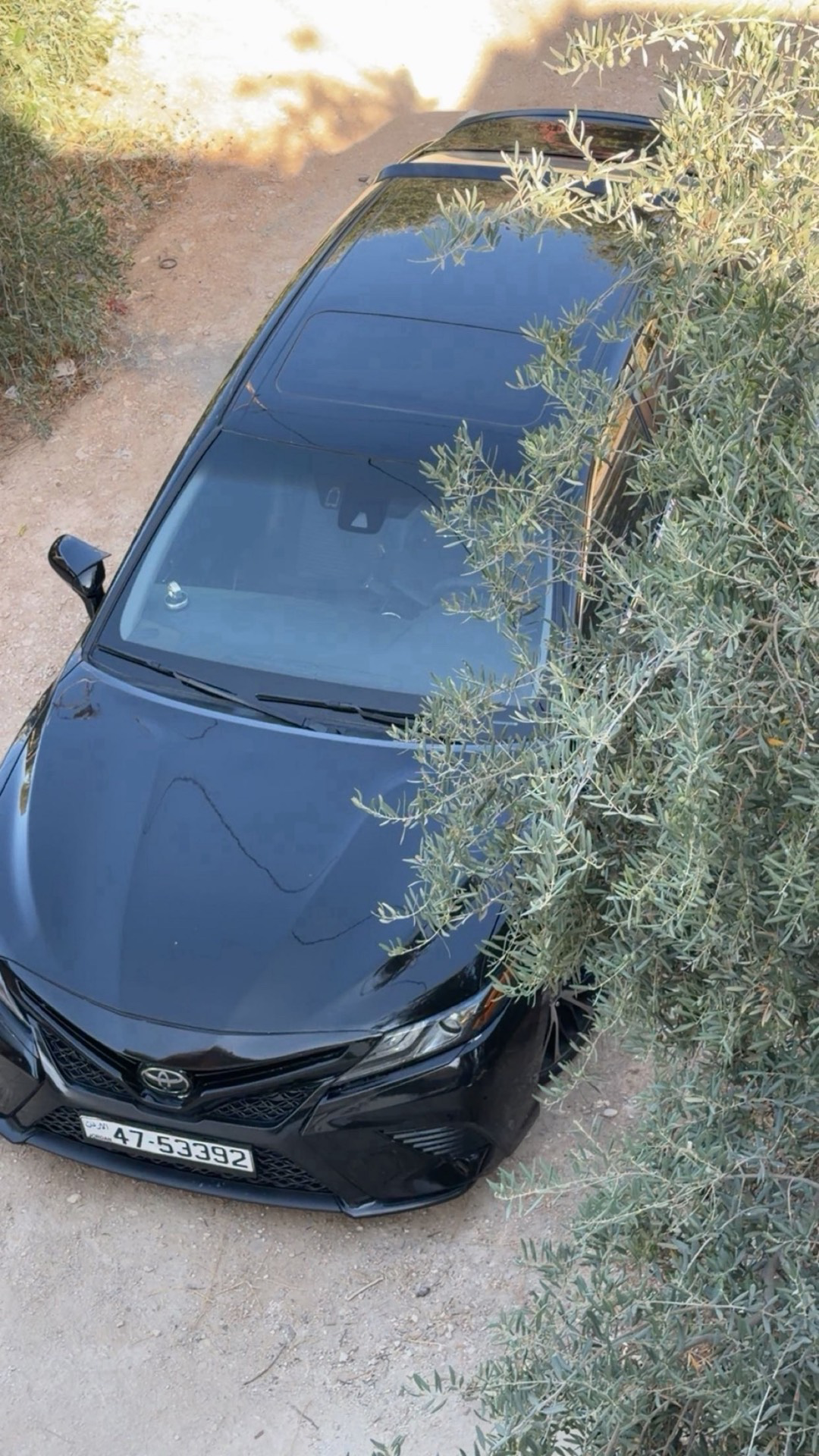 Toyota Camry 2019