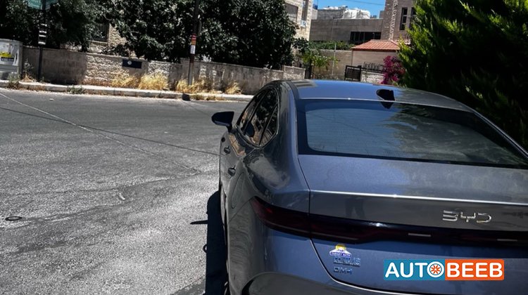 بي واي دي شين بلس 2025