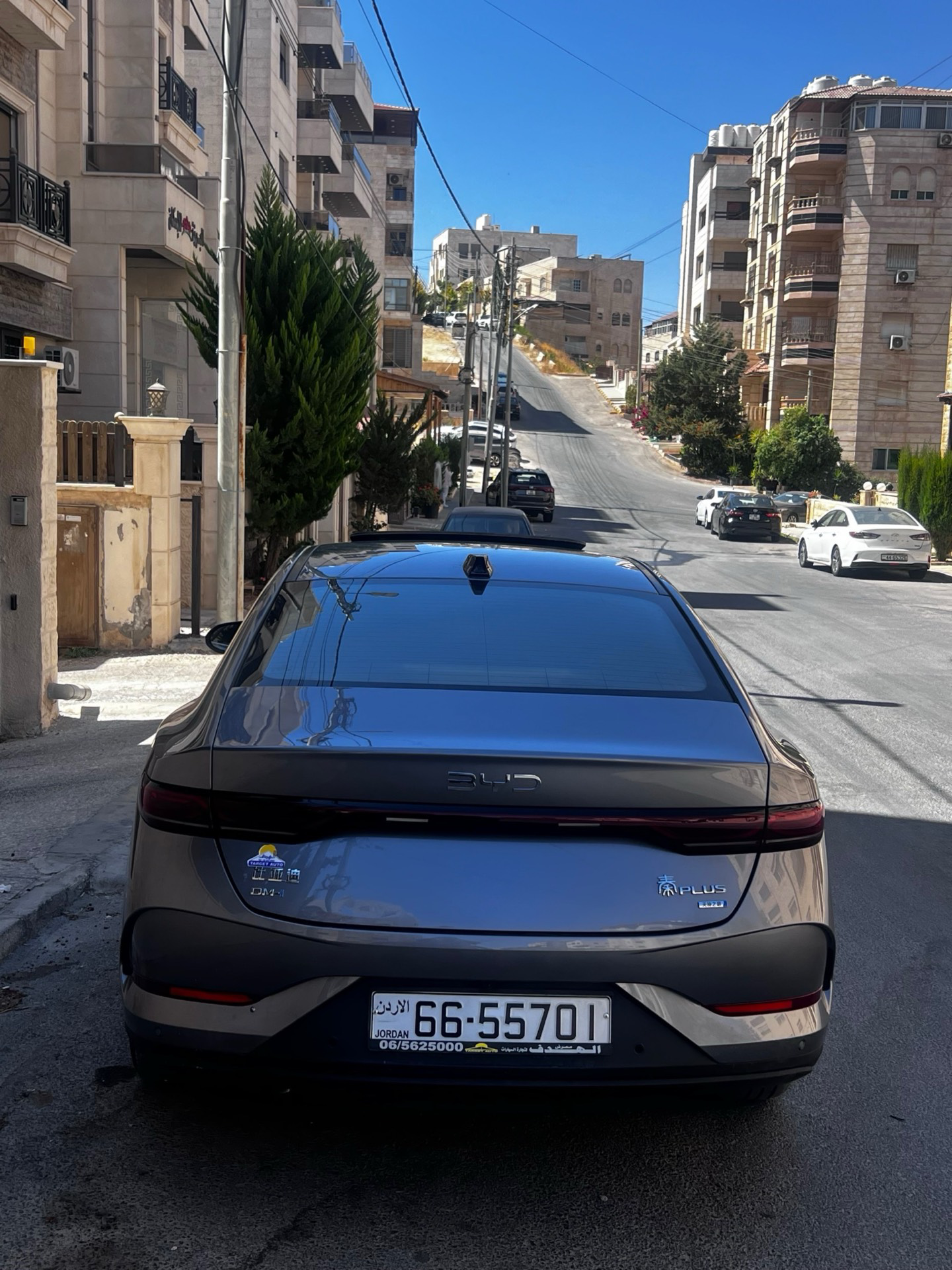 بي واي دي شين بلس 2025