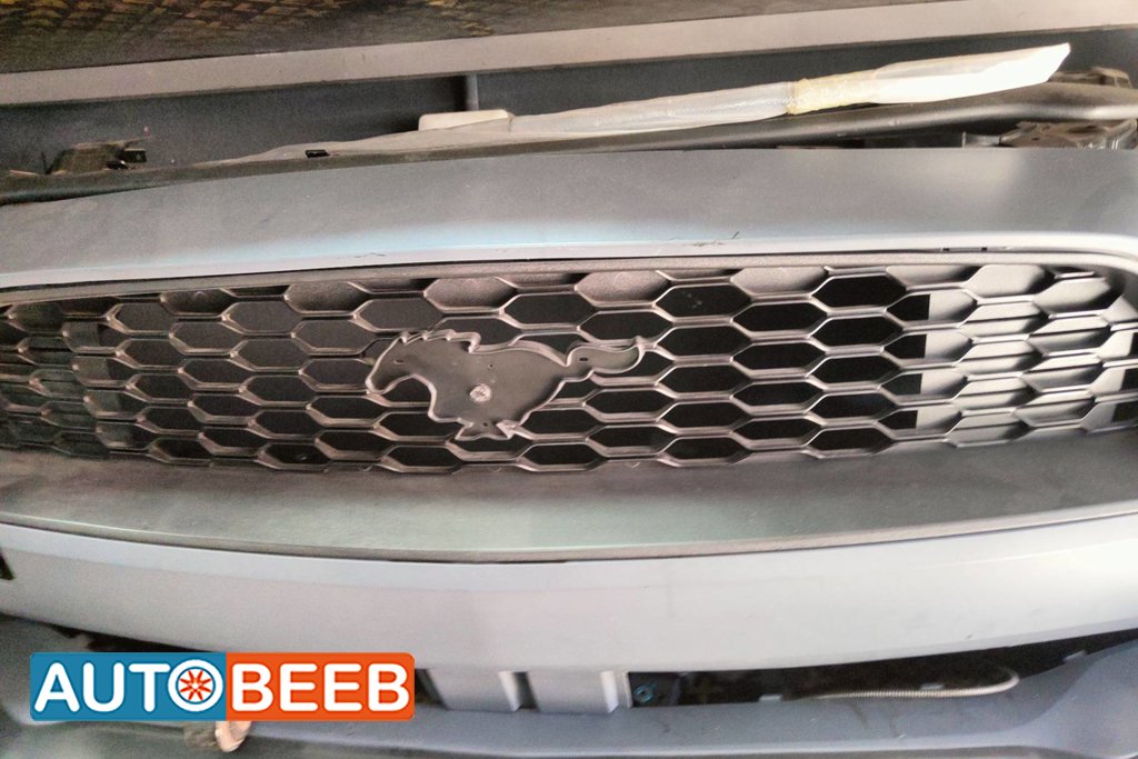 Body Grilles Ford Mustang
