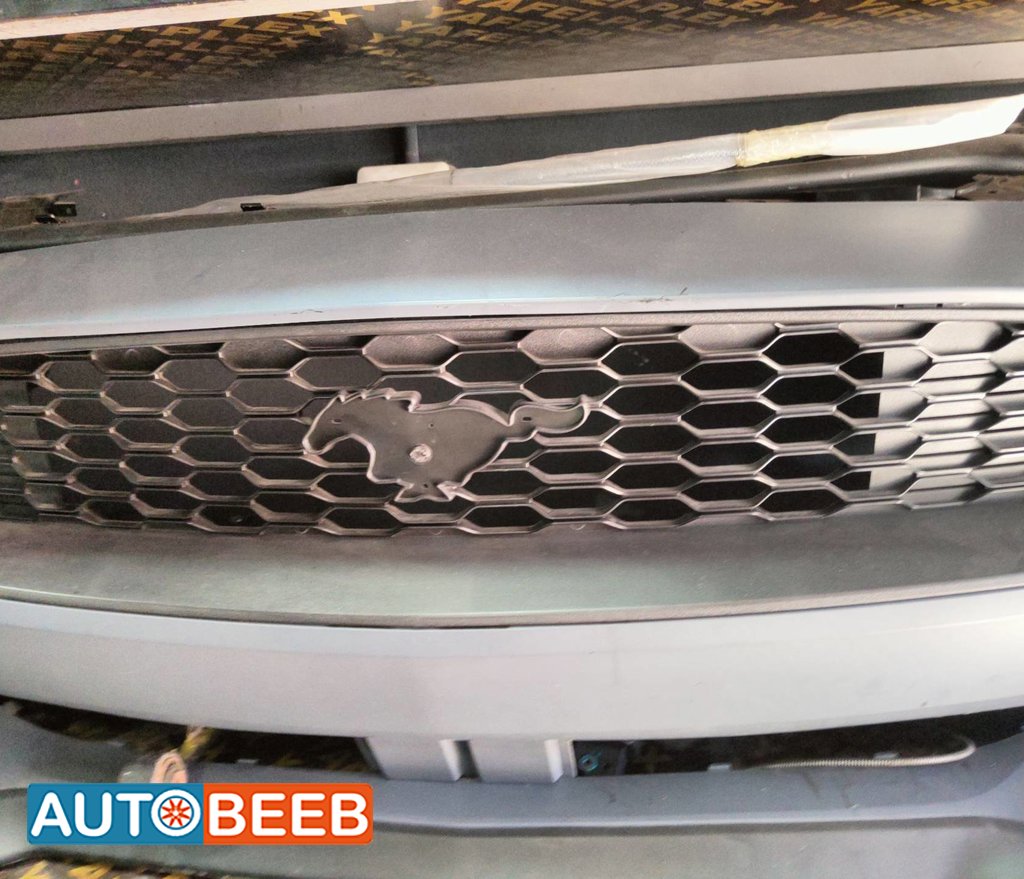 Body Grilles Ford Mustang