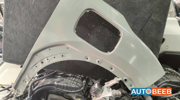Body Fenders BYD Seagull