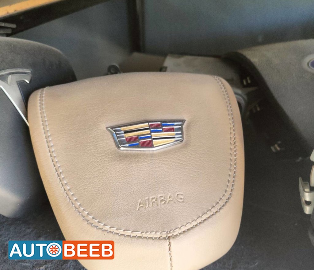 Cabin Steering Wheel Cadillac Escalade