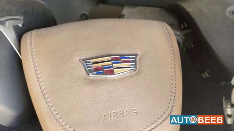 Cabin Steering Wheel Cadillac Escalade
