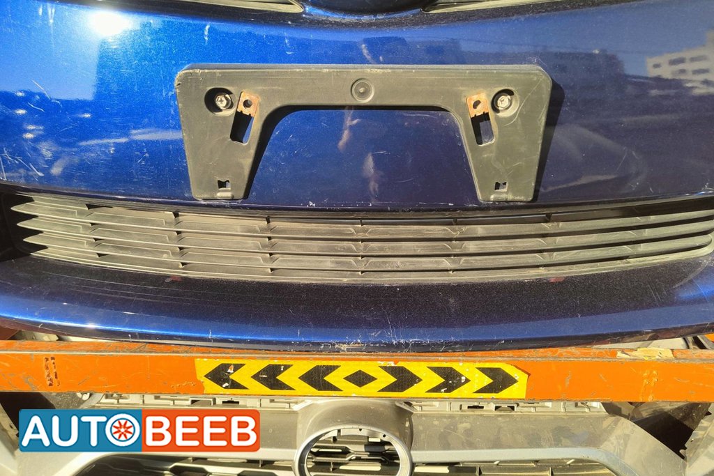 Body Grilles Toyota Prius