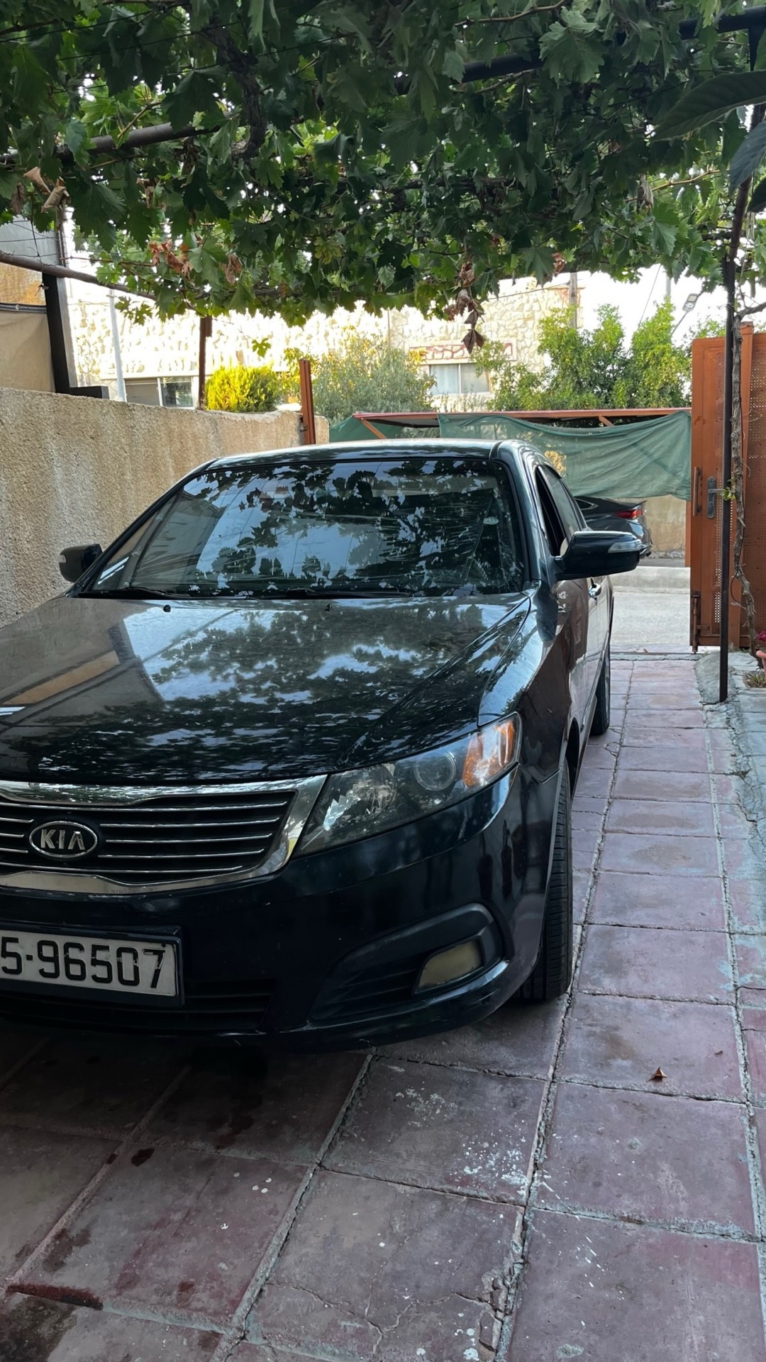 كيا لوتزي 2009