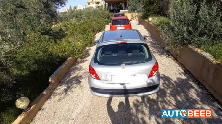 Peugeot 207 2009