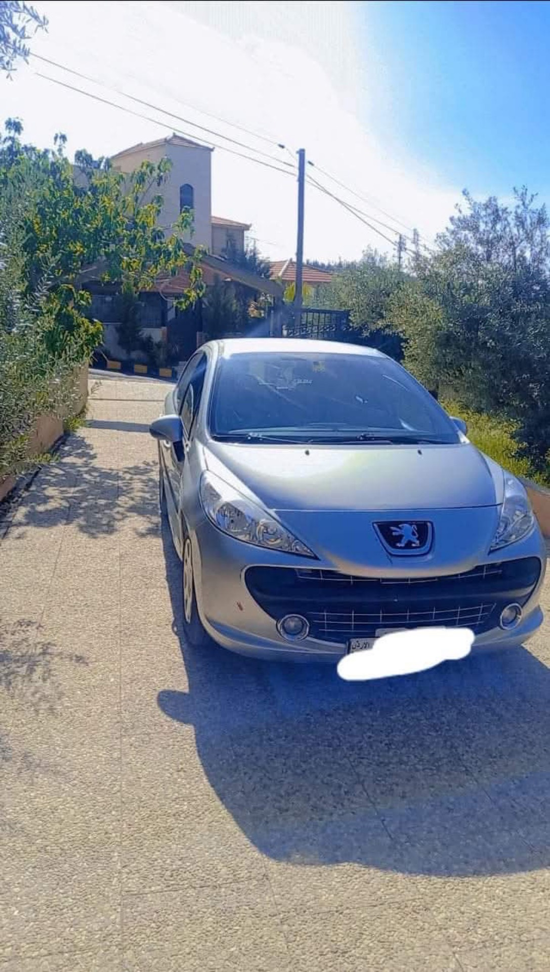 Peugeot 207 2009