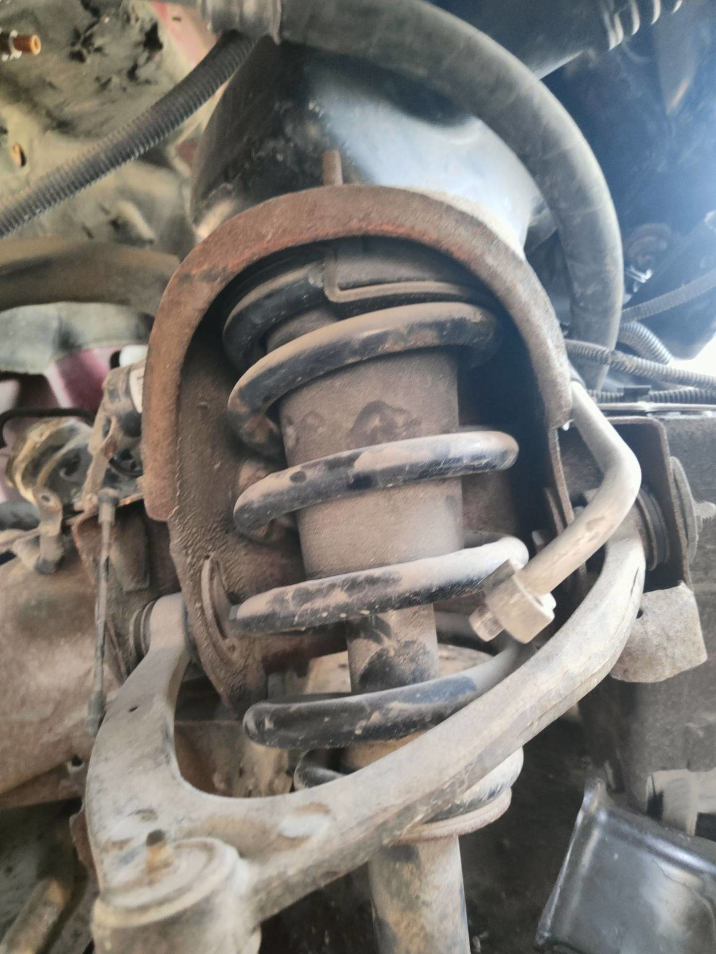 Shock Absorber Cadillac Escalade