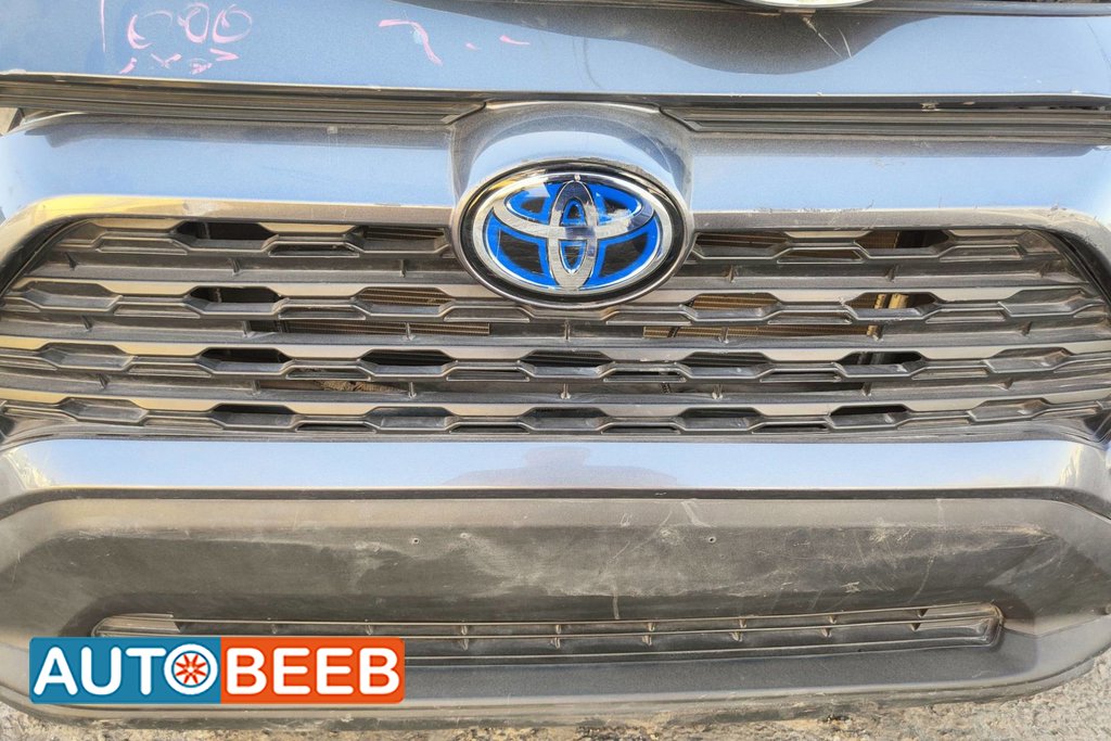 Body Grilles Toyota RAV4