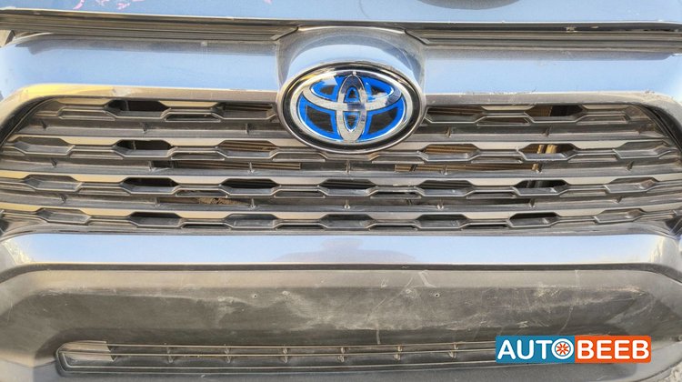 Body Grilles Toyota RAV4