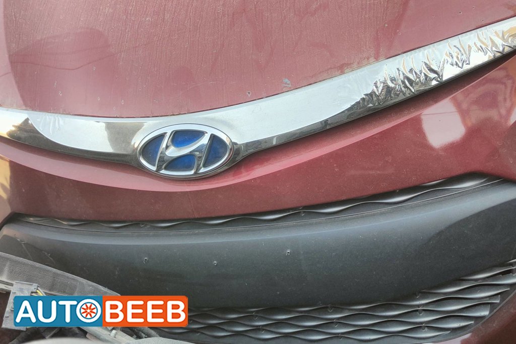 Body Grilles Hyundai Sonata