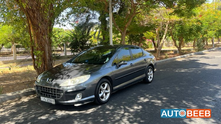 Peugeot 407 2008