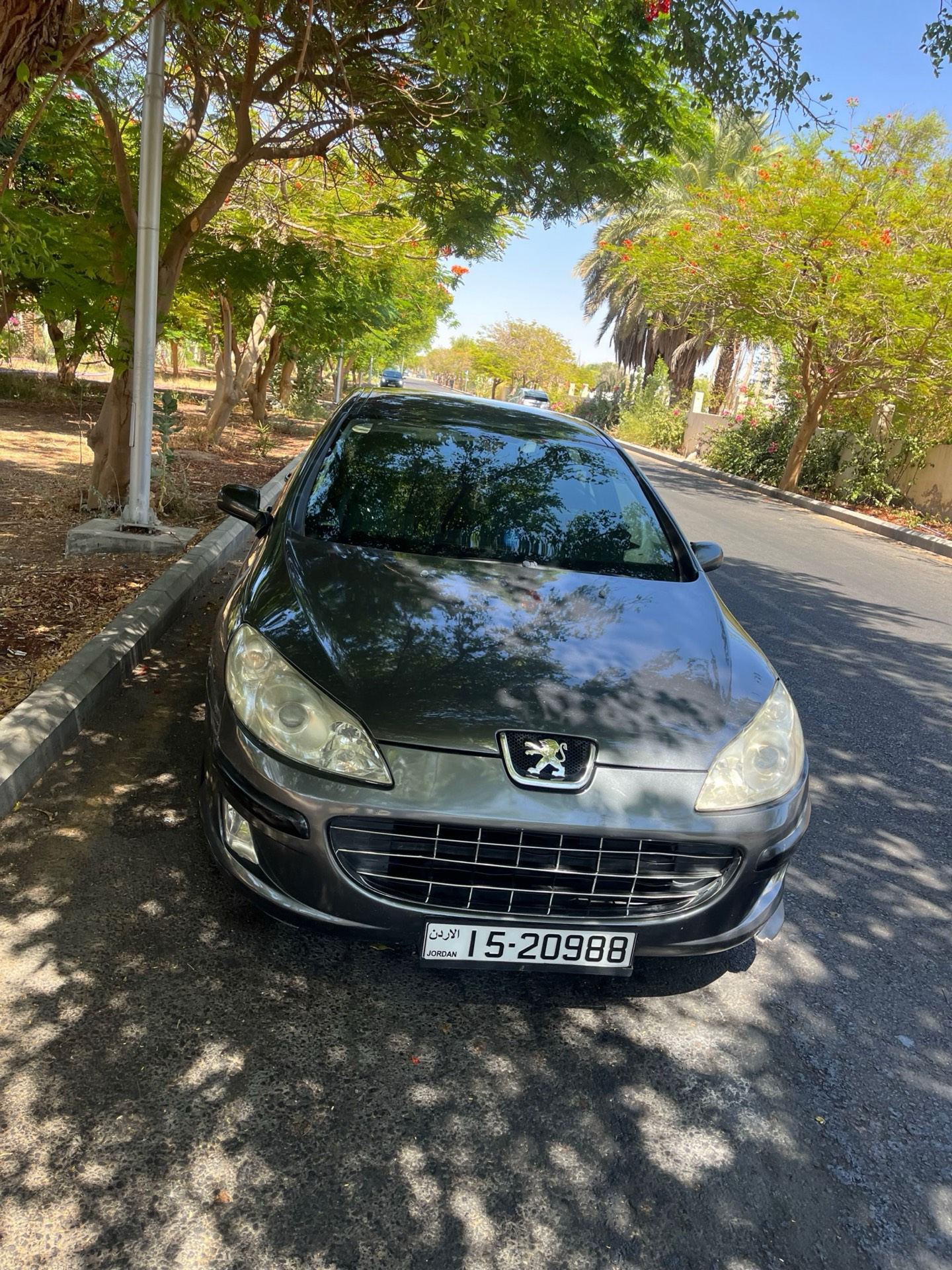 Peugeot 407 2008