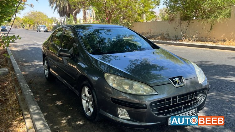 Peugeot 407 2008