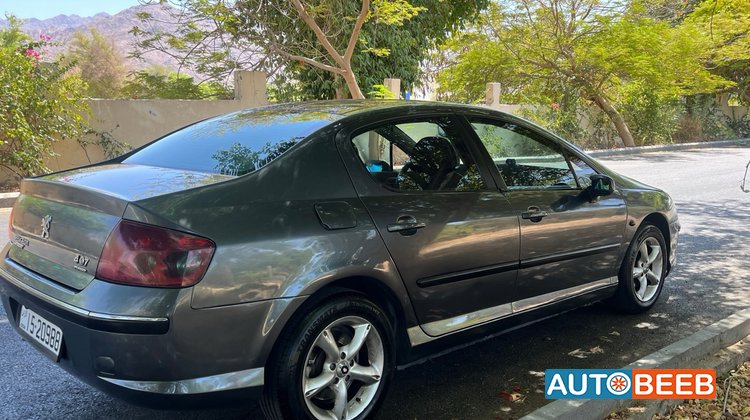 Peugeot 407 2008