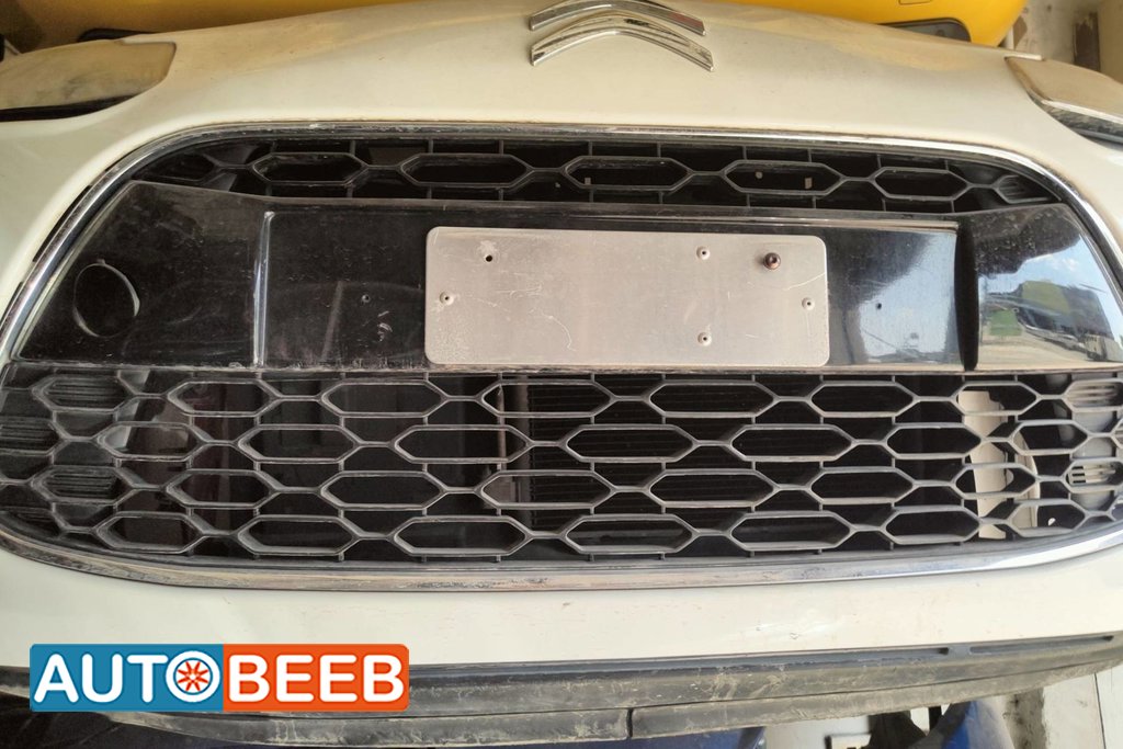 Body Grilles Citroen C3
