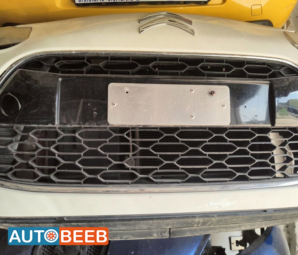 Body Grilles Citroen C3