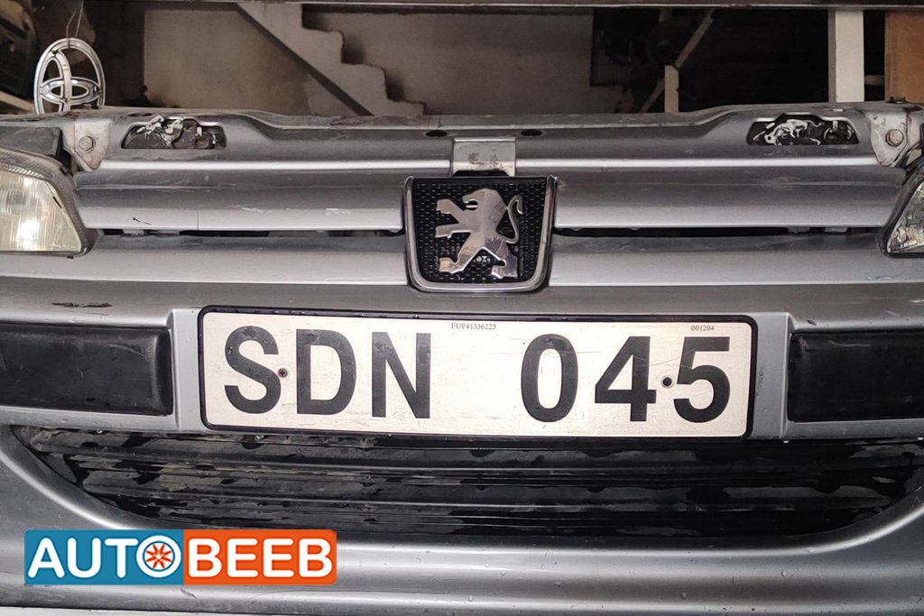 Body Grilles Peugeot 407