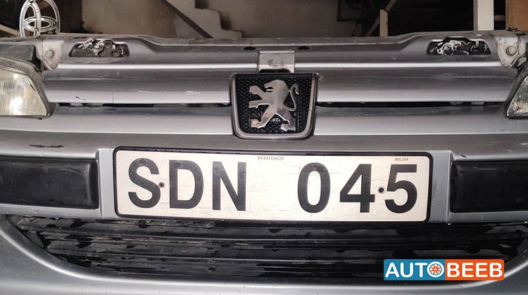 Body Grilles Peugeot 407