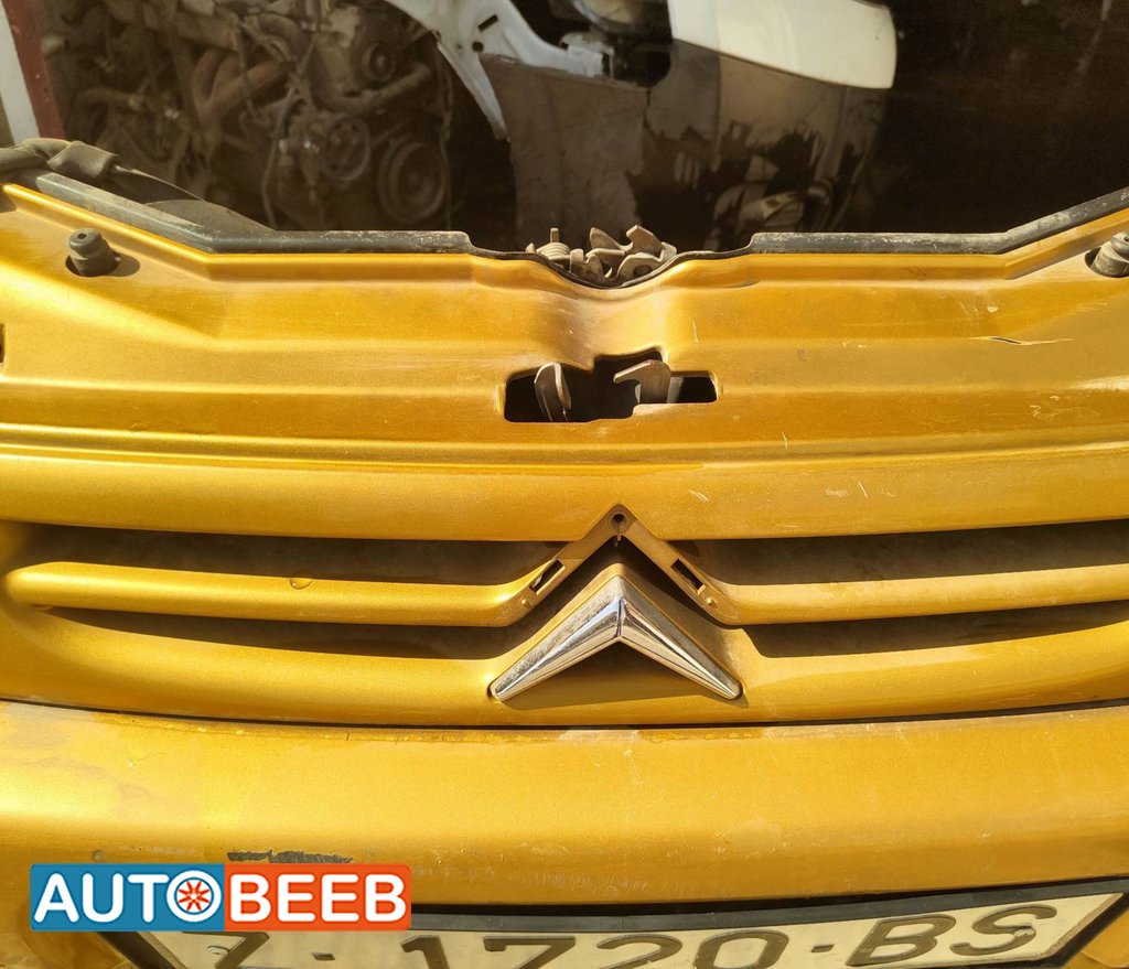 Body Grilles Peugeot Partner