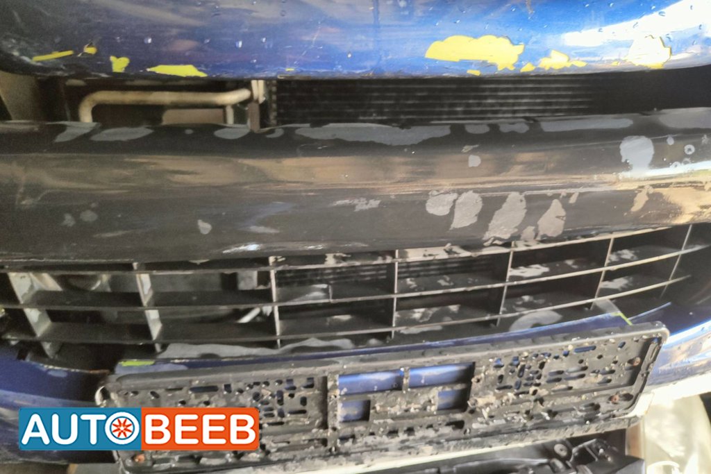 Body Grilles Peugeot 207