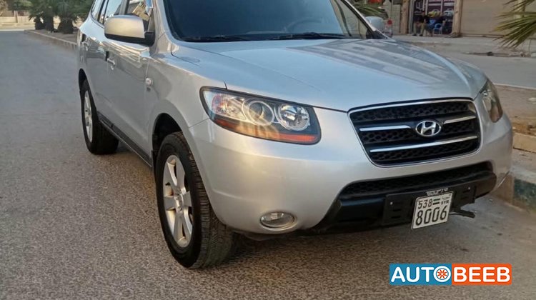 Hyundai Santa Fe 2009