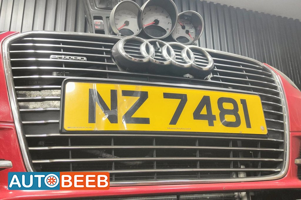 Body Grilles Audi A3