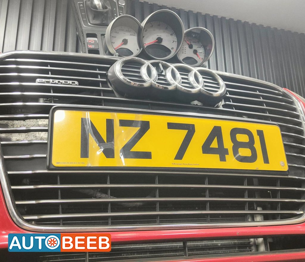 Body Grilles Audi A3