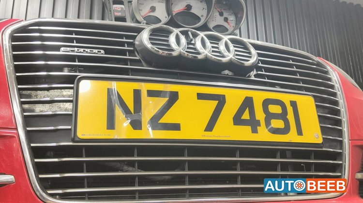 Body Grilles Audi A3