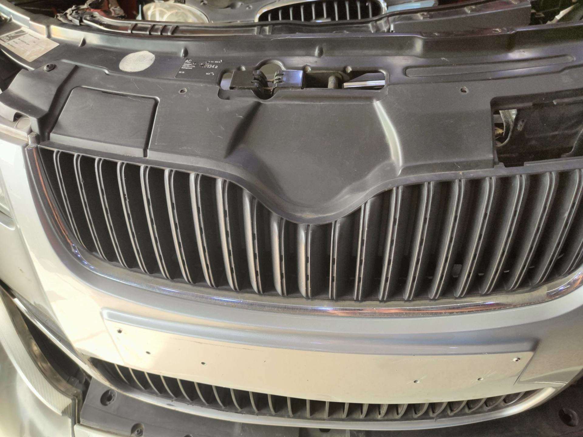 Body Grilles Skoda Fabia