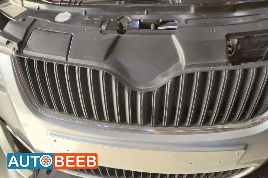 Body Grilles Skoda Fabia