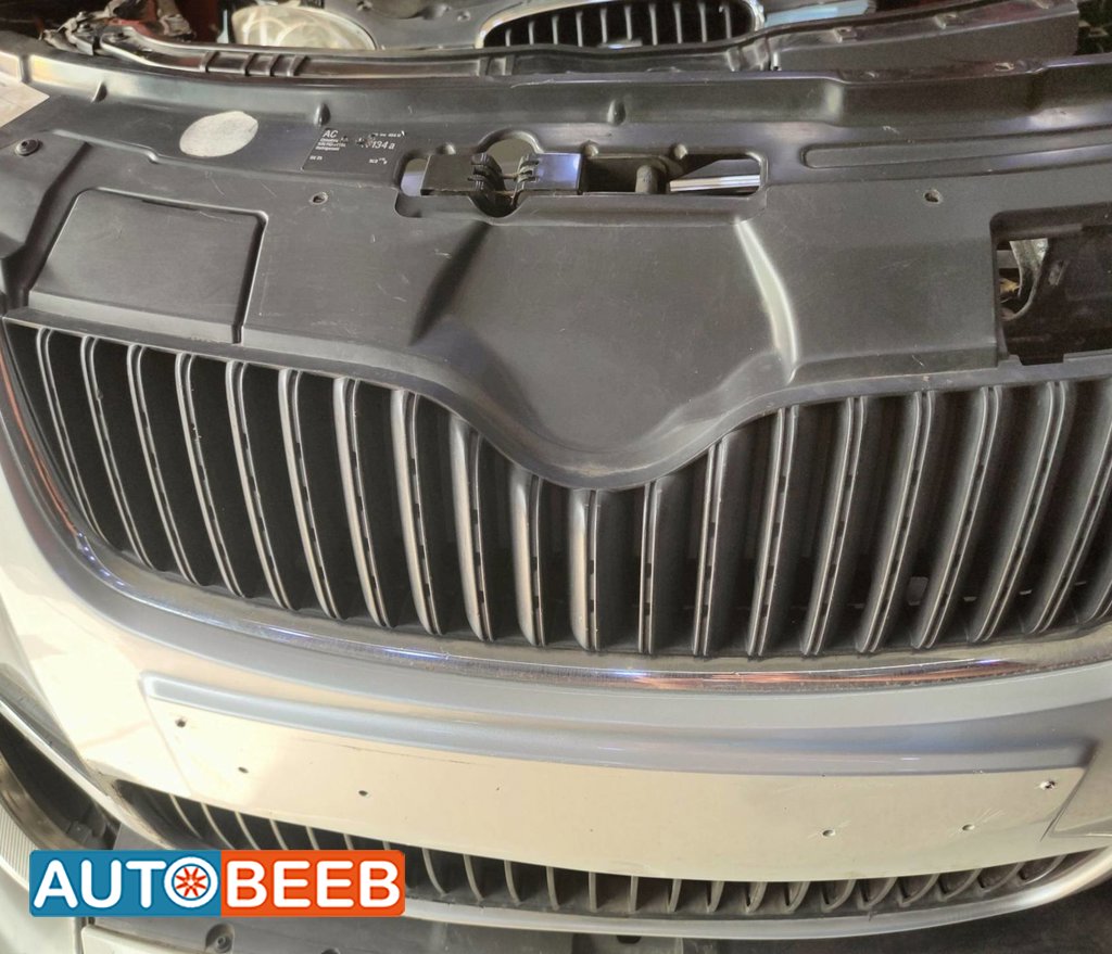 Body Grilles Skoda Fabia