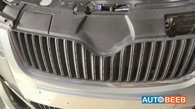 Body Grilles Skoda Fabia
