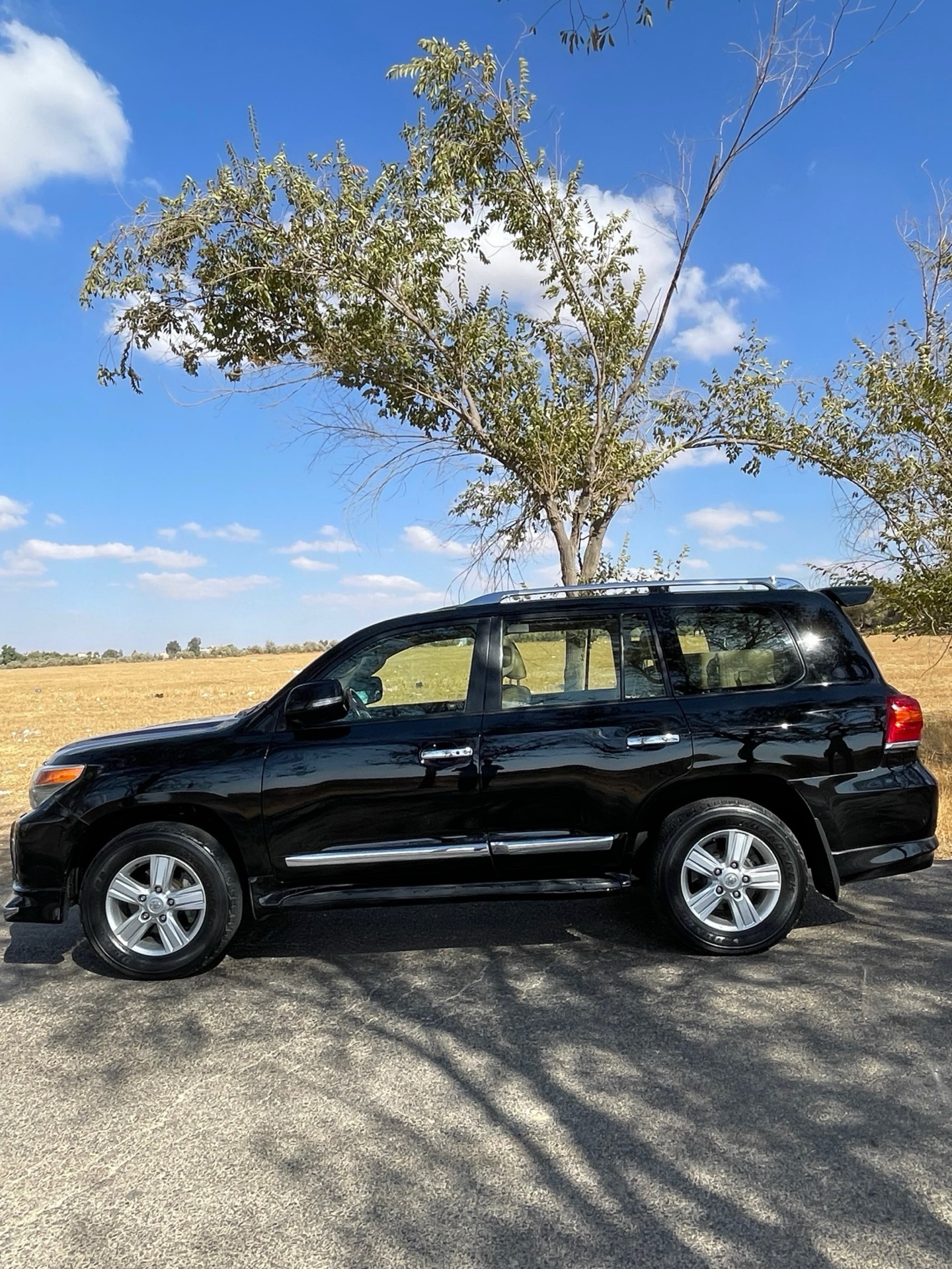 Toyota Land Cruiser 2015