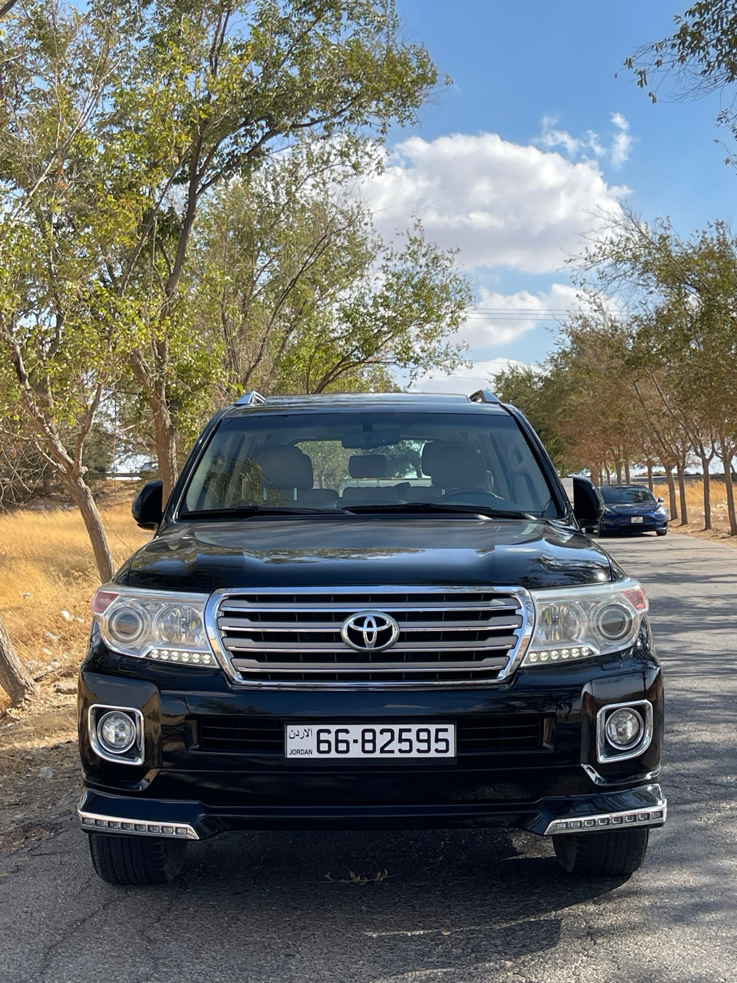 Toyota Land Cruiser 2015