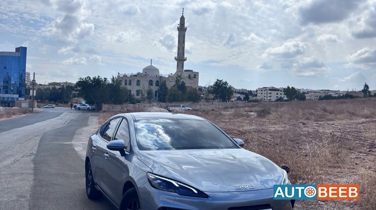 بي واي دي سيل 2025
