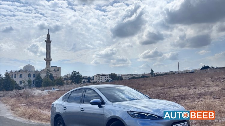 بي واي دي سيل 2025